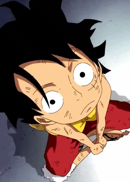 ปก One Piece วันพีช